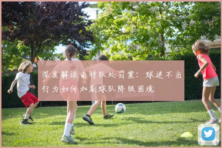 深度解读南特队处罚案：球迷不当行为如何加剧球队降级困境
