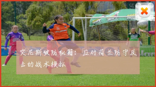 突尼斯破防秘籍：应对荷兰防守反击的战术模拟